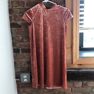 Pink velvet Madewell dress